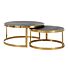 Salontafel Blackbone gold set van 2